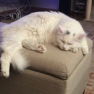 Meet your Posher, Mimichelle